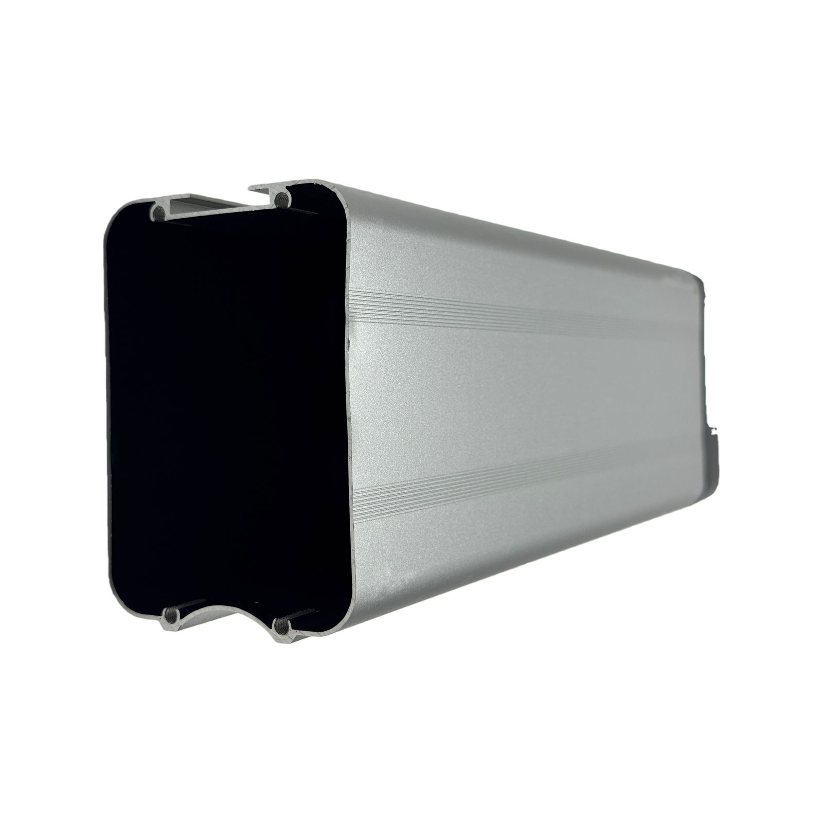 Silver Fish E-Bike Battery Case