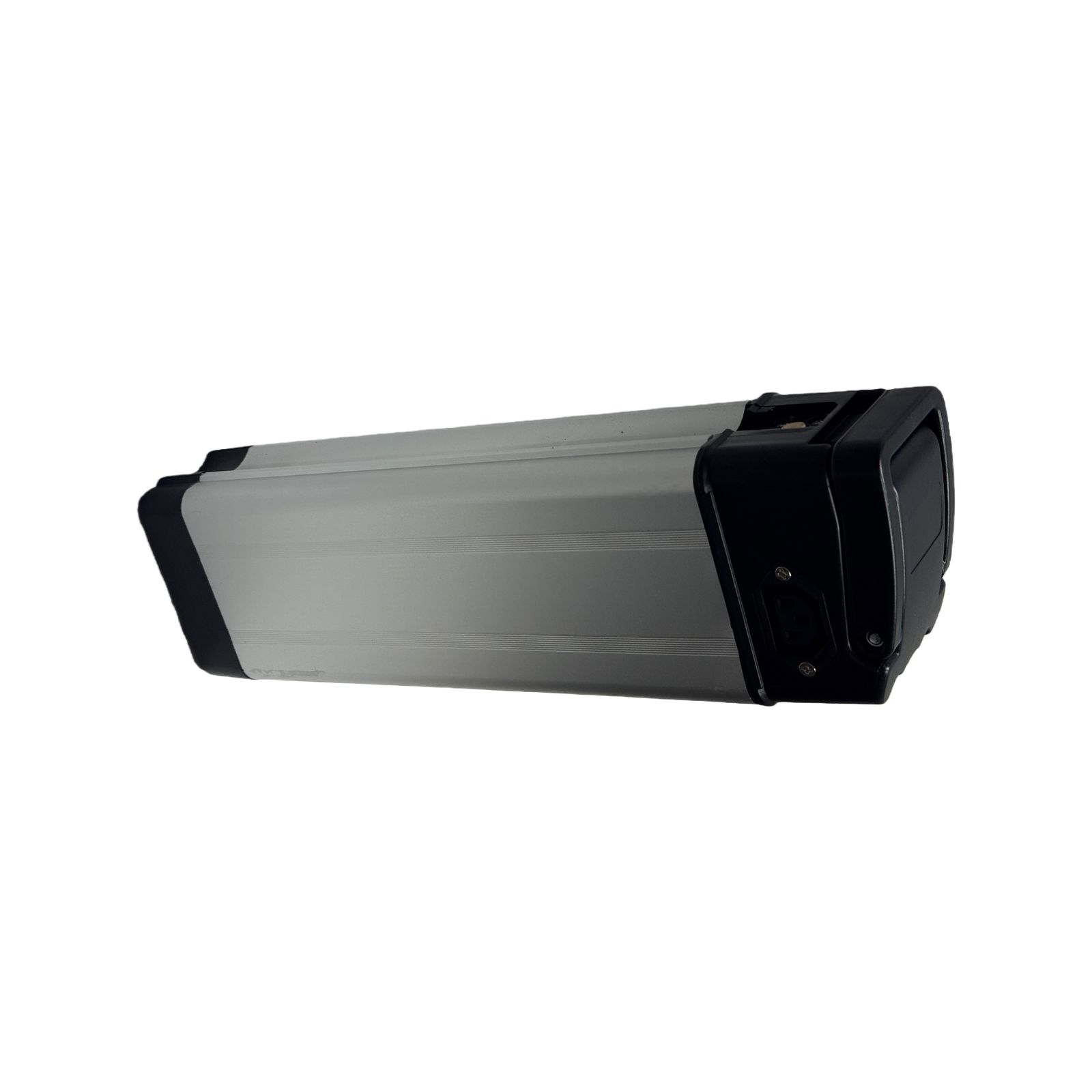 Silver Fish E-Bike Battery Case